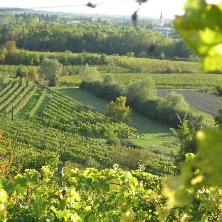 Вілла Capriva Del Friuli - Casa Roncus Екстер'єр фото
